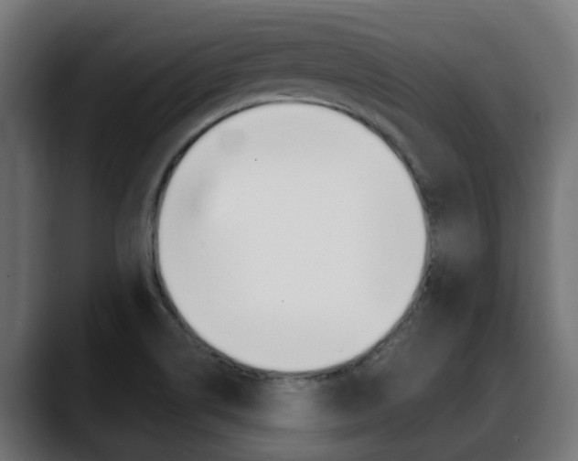 X0000088661514200705250951