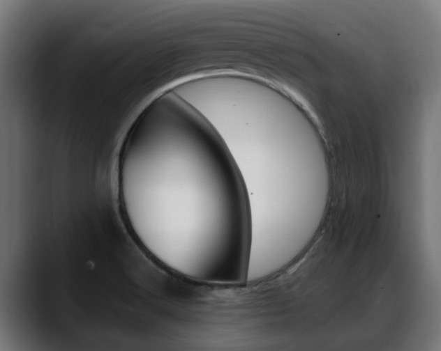 X0000088661516200705250951