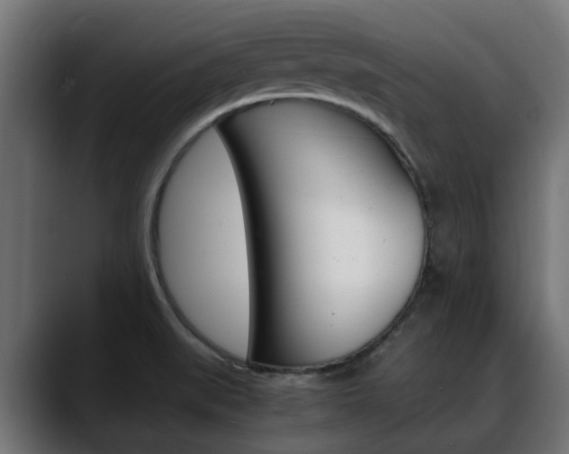X0000088661519200705250951