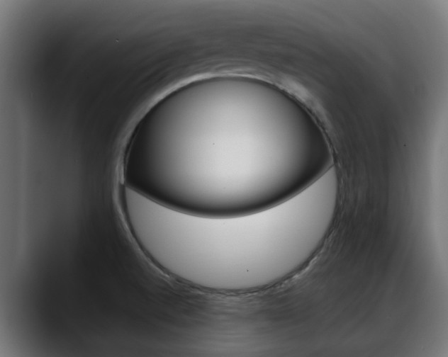 X0000088661520200705250951