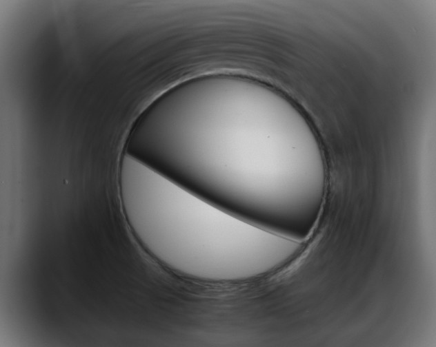 X0000088661521200705250951