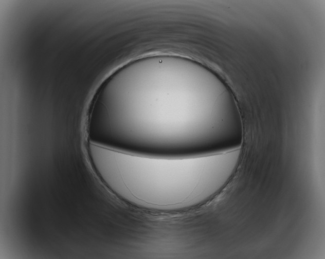 X0000088661522200705250951