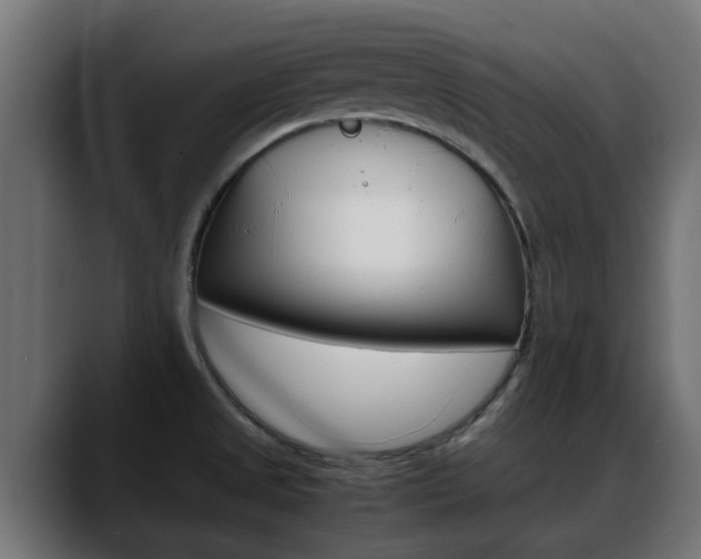 X0000088661525200705250951