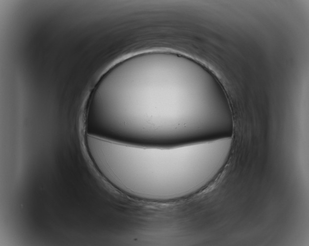 X0000088661526200705250951