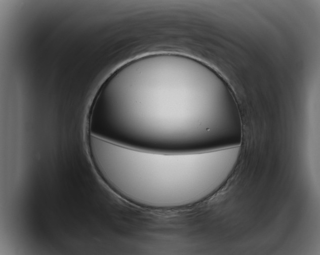 X0000088661527200705250952