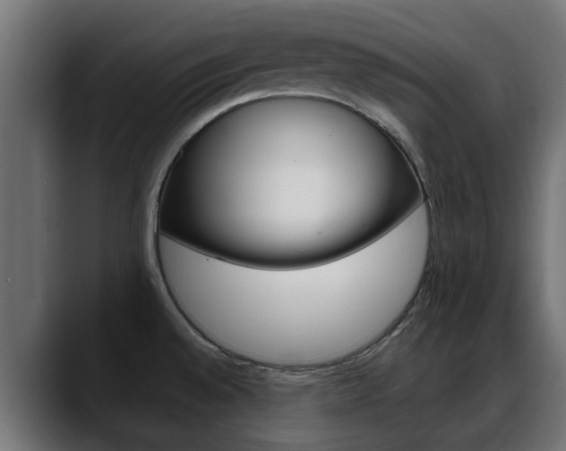 X0000088661528200705250952