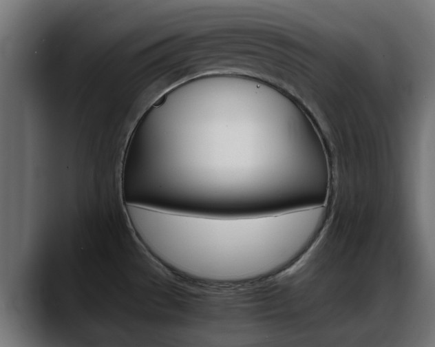 X0000088661529200705250952