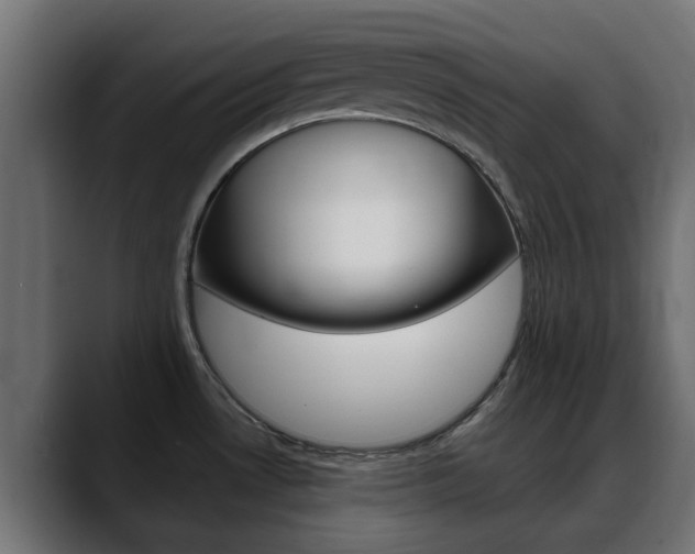 X0000088661530200705250952