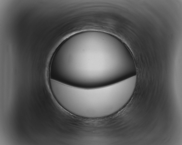 X0000088661531200705250952