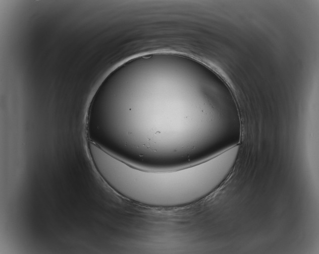 X0000088661532200705250952