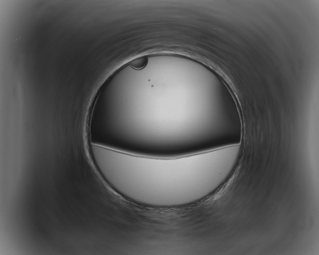 X0000088661533200705250952