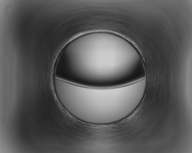 X0000088661534200705250952