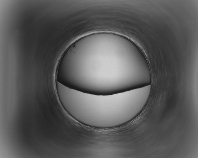 X0000088661535200705250952