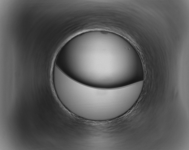 X0000088661536200705250952