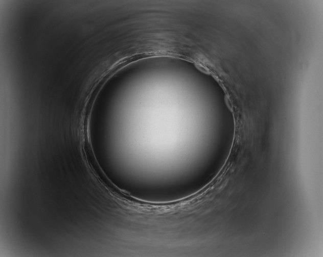 X0000088660002200705251532