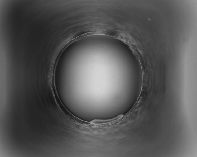 X0000088660003200705251532