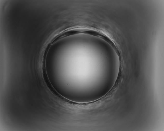 X0000088660007200705251531