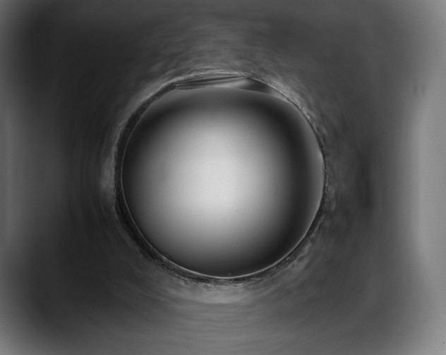 X0000088660008200705251531