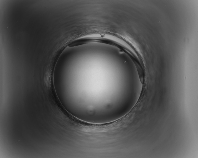 X0000088660009200705251531