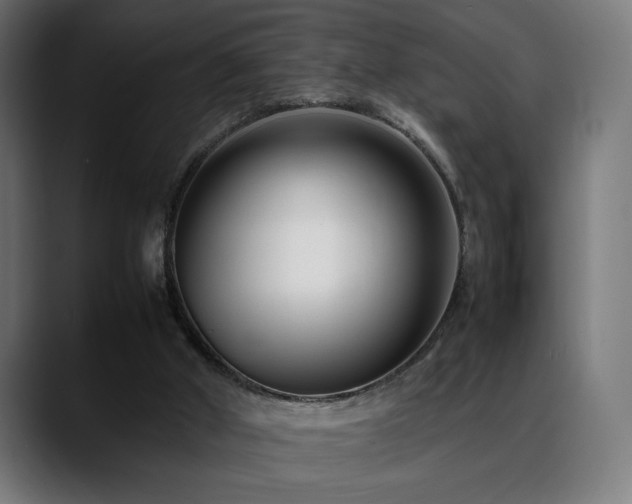 X0000088660010200705251531