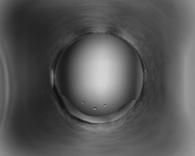 X0000088660013200705251531