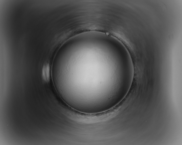 X0000088660014200705251531