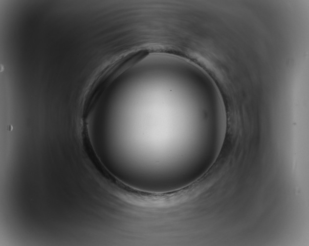 X0000088660015200705251531