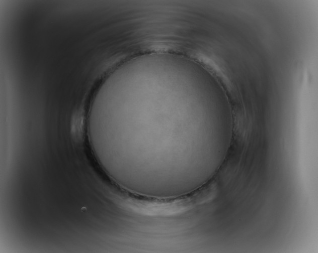 X0000088660016200705251531