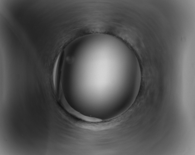 X0000088660017200705251531