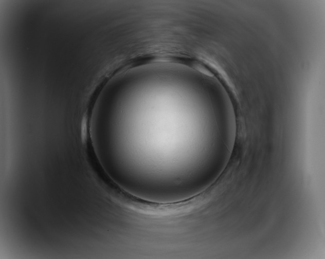 X0000088660019200705251531