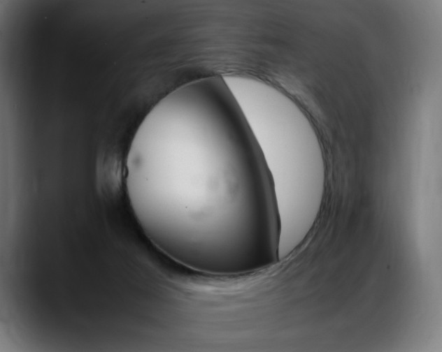 X0000088660021200705251531