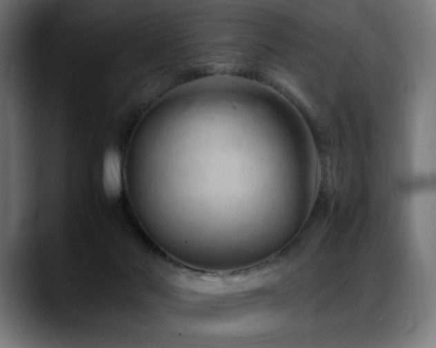 X0000088660022200705251531