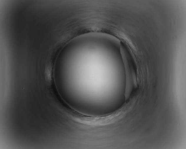 X0000088660023200705251531