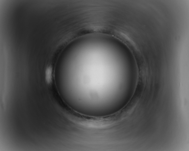 X0000088660024200705251531