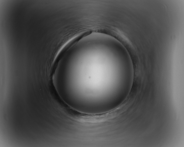 X0000088660025200705251531