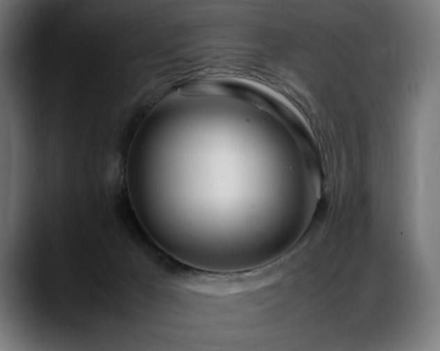 X0000088660029200705251531