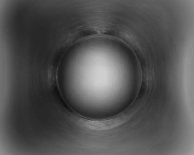 X0000088660030200705251531