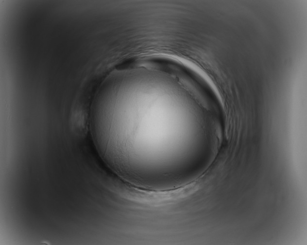 X0000088660031200705251531