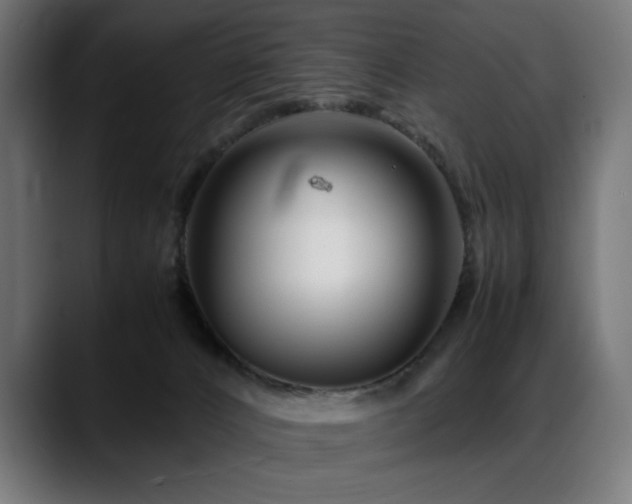 X0000088660032200705251531