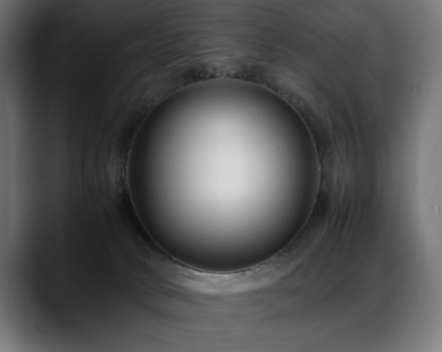 X0000088660034200705251531