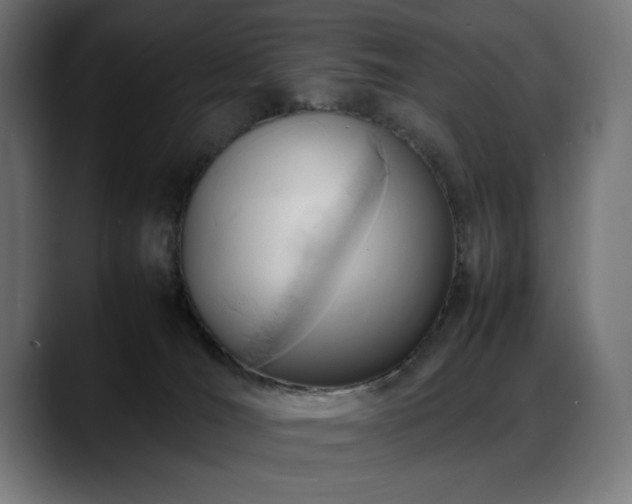 X0000088660036200705251531