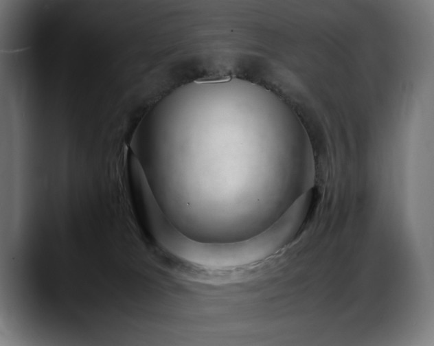 X0000088660037200705251531