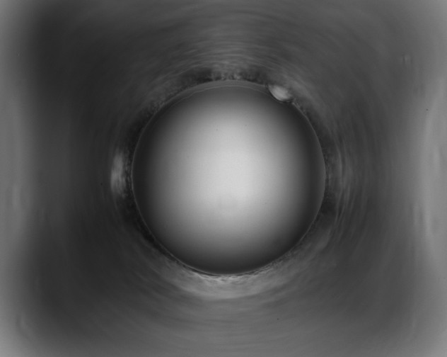 X0000088660038200705251531