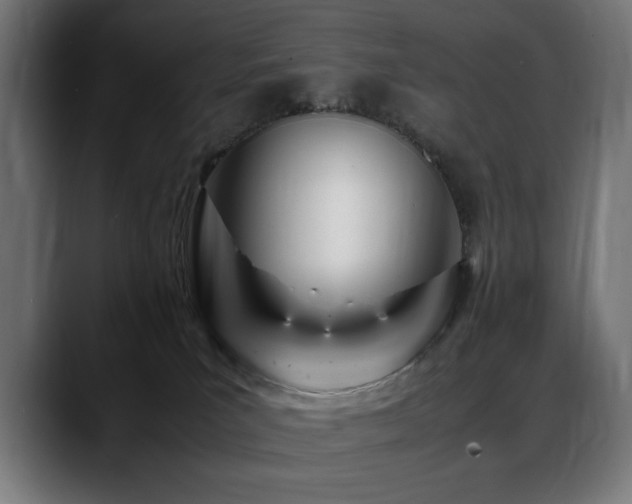 X0000088660039200705251531