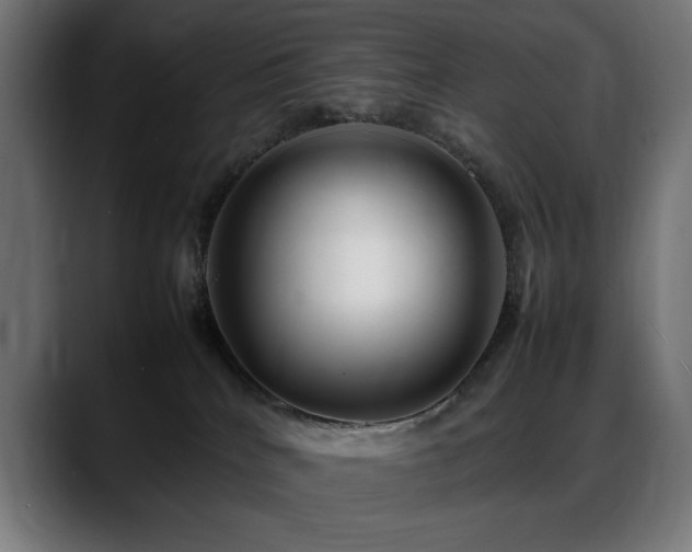 X0000088660040200705251531