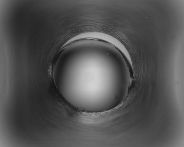 X0000088660045200705251531