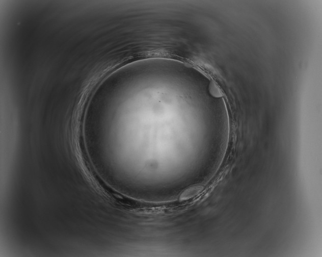 X0000088660049200705251530