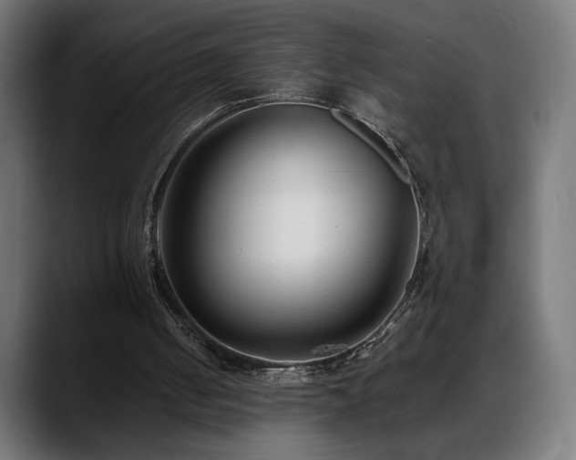 X0000088660050200705251530