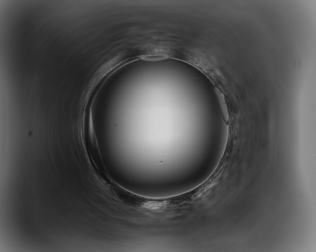 X0000088660051200705251530