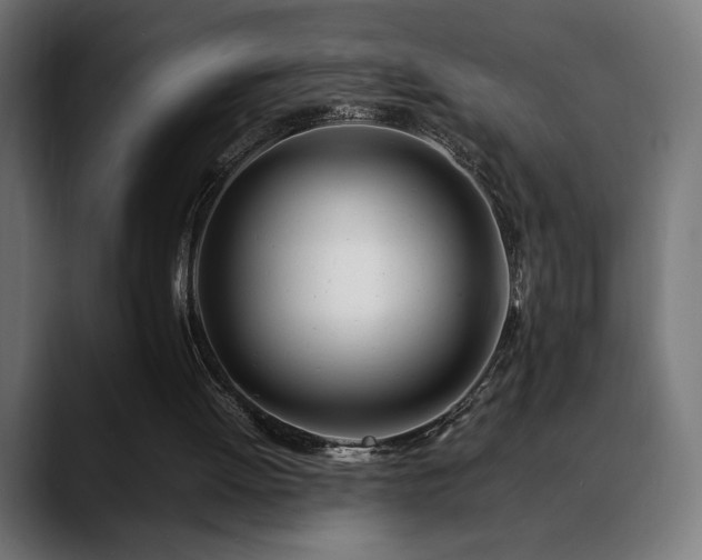 X0000088660052200705251530